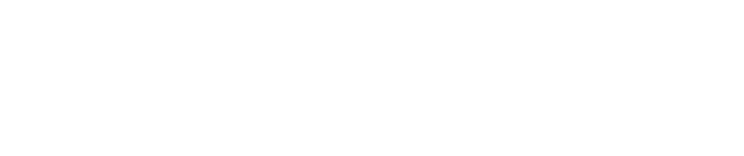 MISSI
